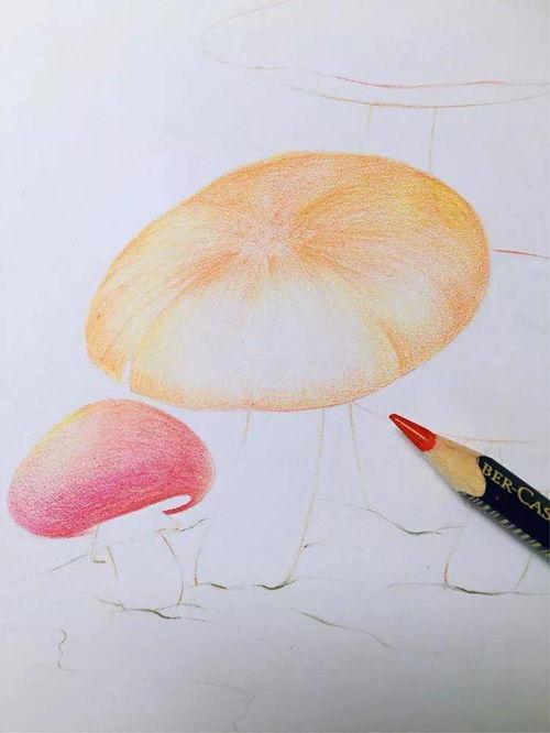 彩铅画入门教程视频,轻松掌握色彩与线条的艺术