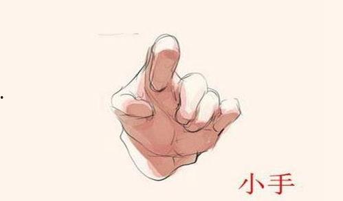 手掌视频,揭秘手掌视频的魅力与奥秘